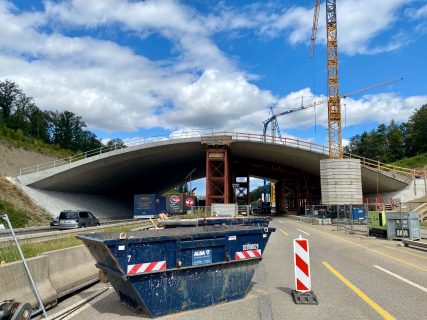 Grünbrücke Hagenschieß